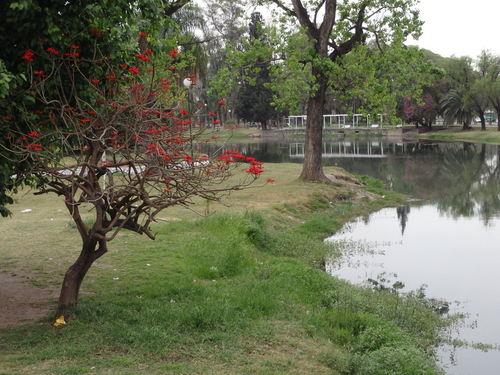 9 de Julio Parque.